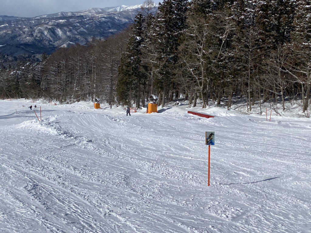 鷲ヶ岳スキー場画像1