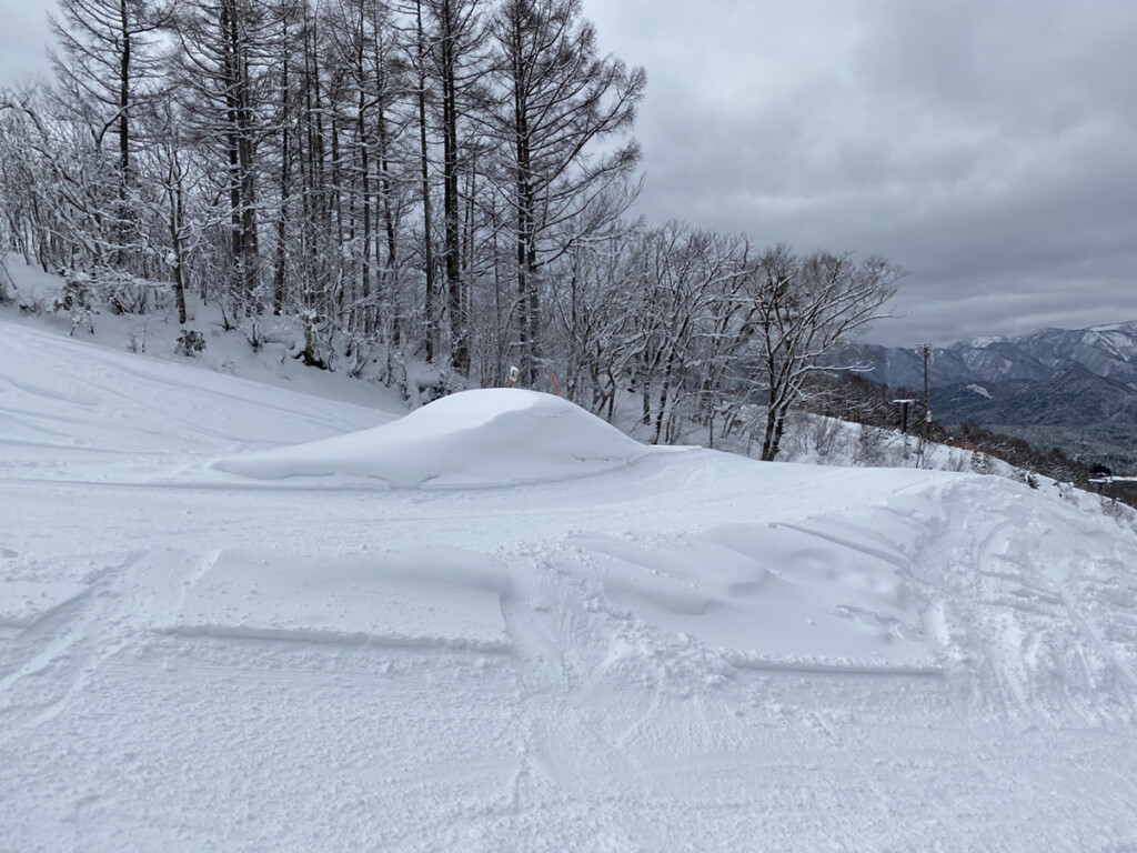 鷲ヶ岳スキー場画像10
