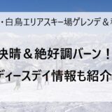 2月25日の高鷲・白鳥エリアのスキー場ゲレンデ＆積雪情報