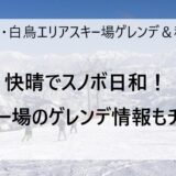 2月28日の高鷲・白鳥エリアのスキー場ゲレンデ＆積雪情報