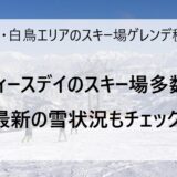 3月11日の高鷲・白鳥エリアのスキー場ゲレンデ＆積雪情報